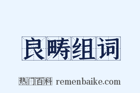 良畴组词是什么意思的图片